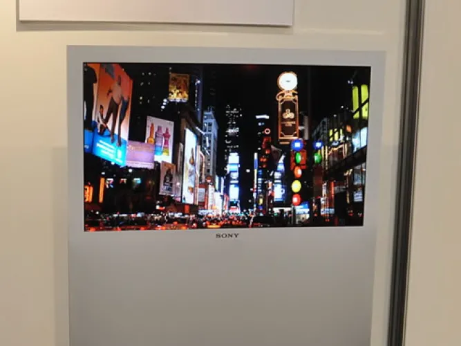 CES 2010