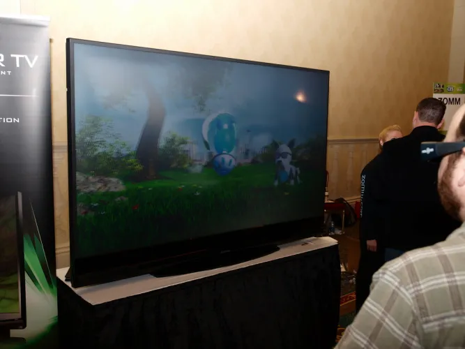 CES 2010