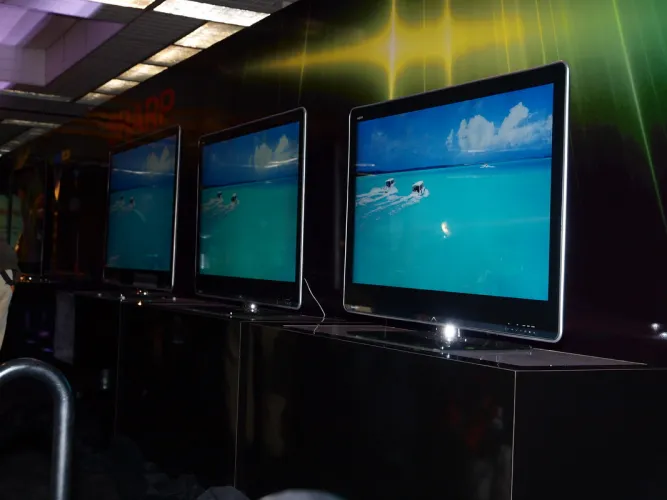 CES 2010