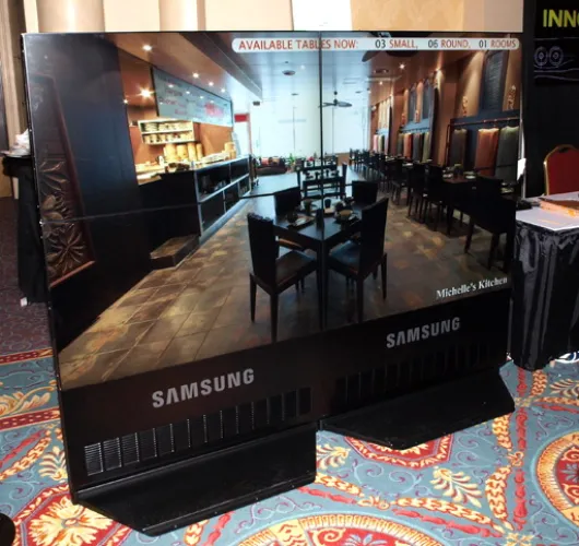 CES 2009