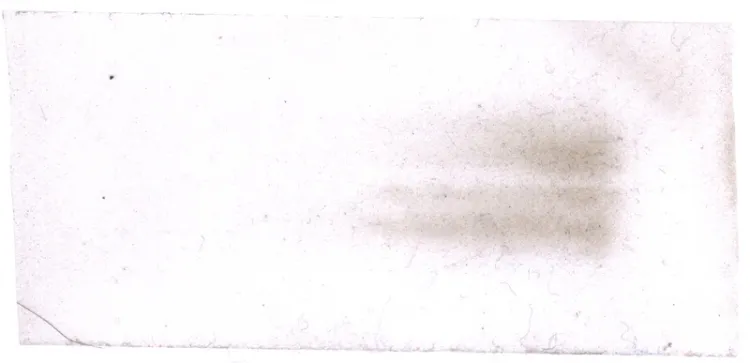 Kifújt kosz egy porszívózás után normál szűrővel