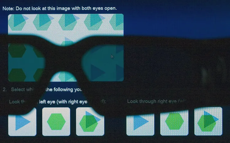 3D VISION